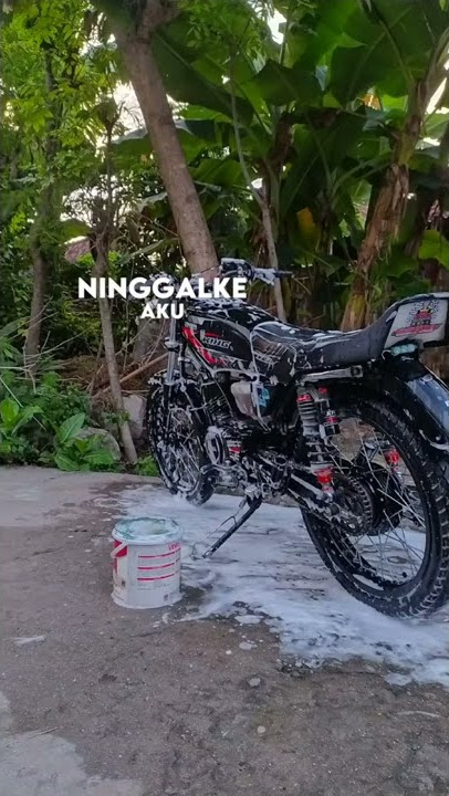 setoriy wa rx king 2022 || proliman joyo viral tik tok