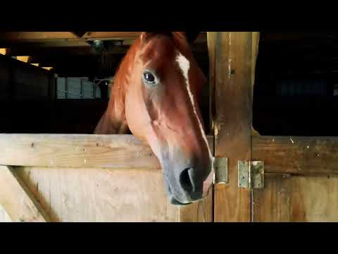 501 Matunuck School House Road, South Kingstown, RI home video tour