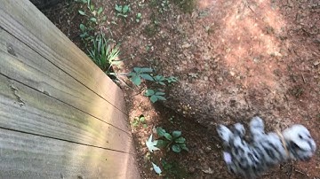 We don’t believe what’s on tv-Webkinz Mep Part 3&4