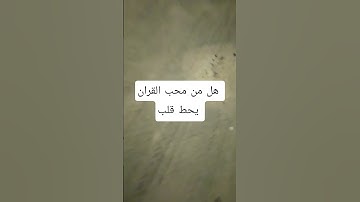 قران كريم بصوت عبد الرحمن مسعد #duet #voiceeffects #قرآن #اكسبلور #المصحف #لايك #السعودية #ترند