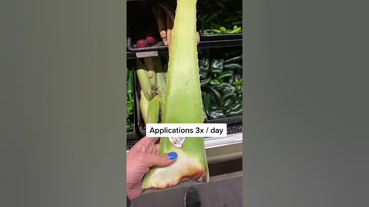 Natural remedies for cold sores #holistichealth #shorts #remedies