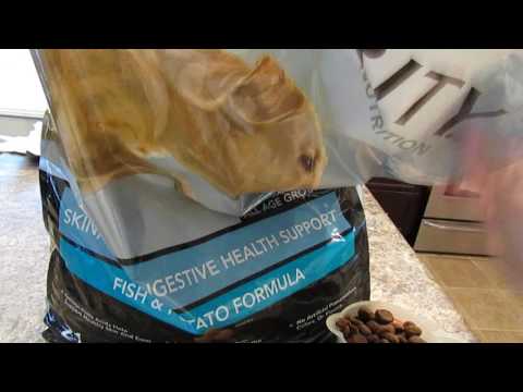 authority-grain-free-"skin,-coat,-digestive-health"-dog-food-detail-review