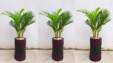 Đúc Chậu Trồng Cây Cực Đẹp Và Sang Trọng Từ Xi Măng Khuôn Chai Nhựa