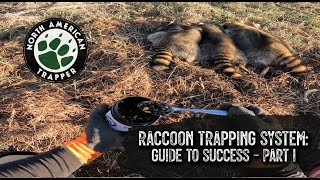 RACCOON TRAPPING SYSTEM: Guide to Success ~ Part #1