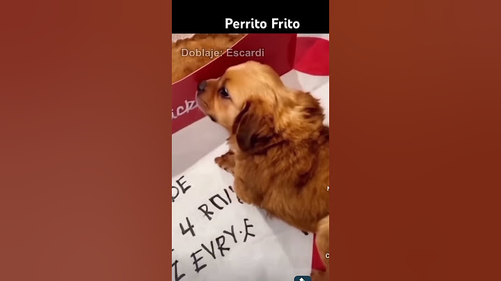 Perrito frito😅