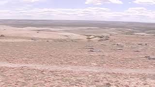 PATAGONIA ARGENTINA -BOSQUES PETRIFICADOS ( Santa Cruz )