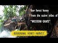 Kodaikanal Honey Harvest // Indian forest honey from the native tribes of &quot;Westernghats&quot;