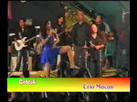 Goblok_ TRIO MACAN_OHMABBA