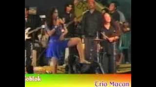 Goblok_ TRIO MACAN_OHMABBA