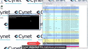 Bad Rabbit Ransomware - Cynet 360