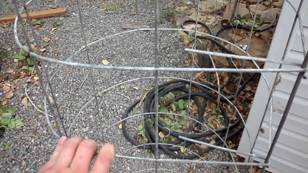 Best Homemade Tomato Cages