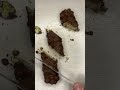 Cutting Chocolate 🍫😋ASMR