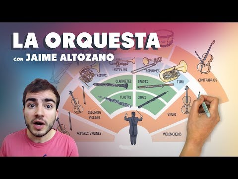 Video: Qué Instrumentos Están Incluidos En La Orquesta