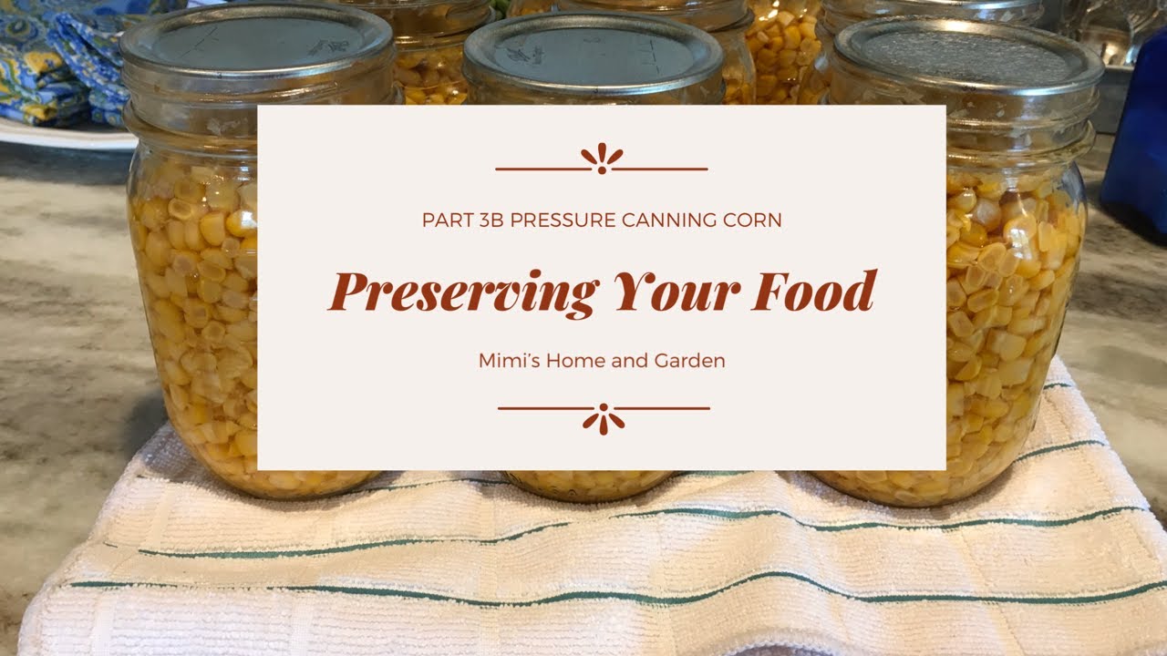 Preserving Your Food Pt 3b Pressure Canning Corn YouTube