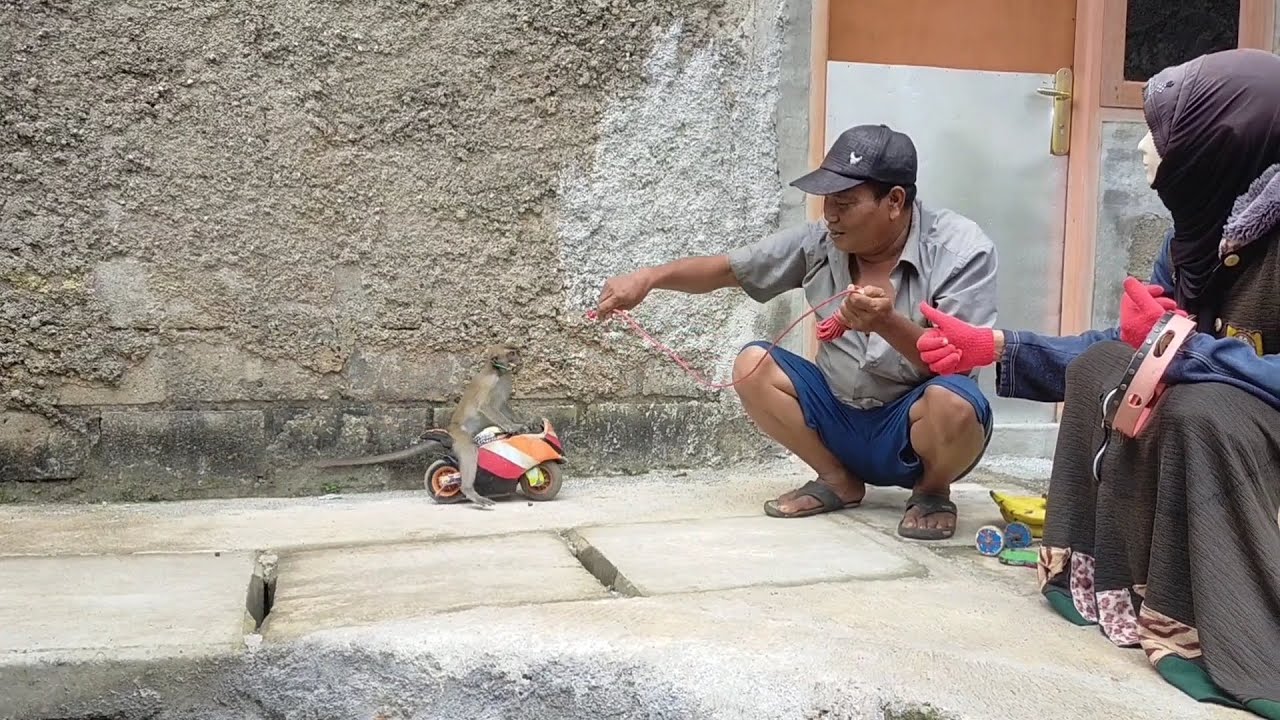 LATIHAN TOPENG MONYET