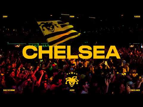 CHELSEA - BAILE DO BRIME! - (FEBEM, FLEEZUS & CESRV)