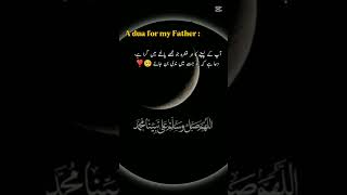 #inshalla for #for viral 👑❣️🫀❤️🌹🫀❤️❤️❤️🌹🌹🌹🫀🫀 inshalla #hayd #habib #ertugrulghazi #yousuf