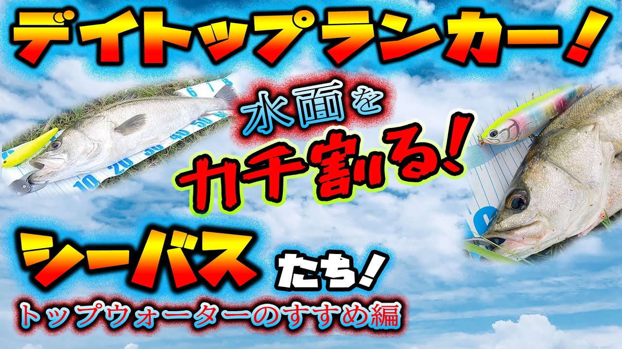 デイトップランカー！水面をカチ割るシーバスたち！ - トップ