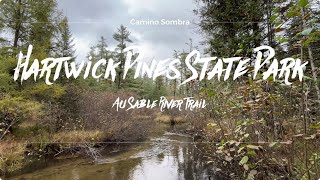 Hartwick Pines State Park in Michigan - Au Sable River Trail [4K]