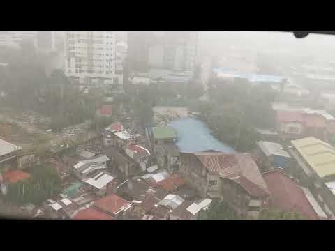 Do you love the sound of Heavy Rain? #asmr #asmrsounds #heavyrain #reels