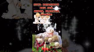 С Рождеством Христовым! 25 Декабря! Католическое Рождество! Christmas! December 25 #shorts