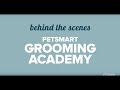 Behind the Scenes with the Stylists at PetSmart Grooming Academy