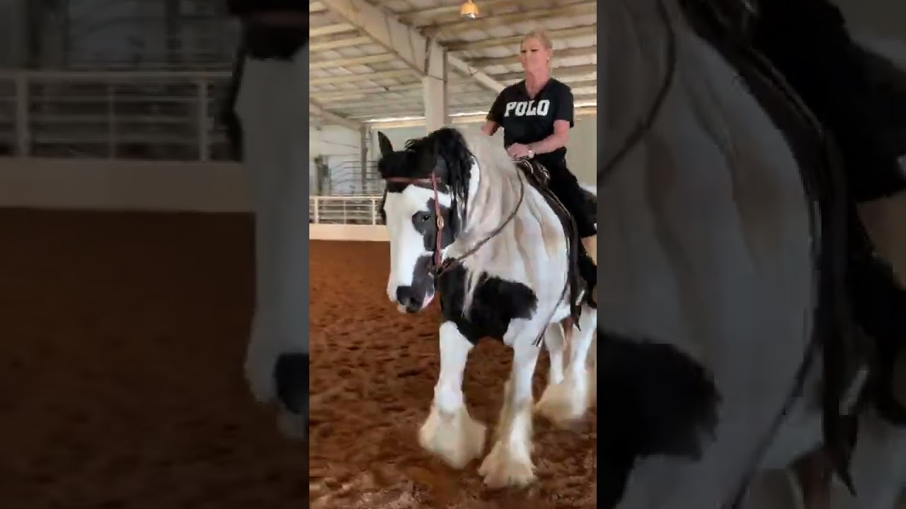 Rod & Gun club warm up. Texas FHC. Samantha Crook on SVG Lou’s Suede Shoes.