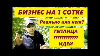 СУПЕР БИЗНЕС ИДЕИ НА 1 СОТКЕ ТЕПЛИЦЫ!//КАК ЗАРАБОТАТЬ НА ТЕПЛИЦЕ И В ОГОРОДЕ//ТЕПЛИЧНОЕ ДЕЛО