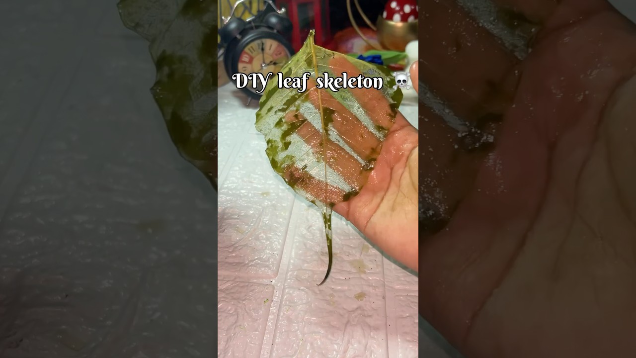 tried skeleton leaf hack but it failed | 