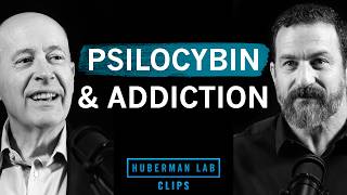 How Psilocybin Can Treat Addiction | Dr. Keith Humphreys & Dr. Andrew Huberman