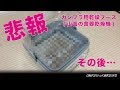 【ガンプラ】食器乾燥機でガンプラ乾かしてみた。その後…【ハシヤン×モデリング】