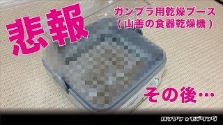 【ガンプラ】食器乾燥機でガンプラ乾かしてみた。その後…【ハシヤン×モデリング】