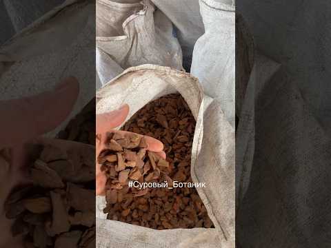 К нам приехал ревизор)) наш сайт 👉 https://effectbio.ru/
