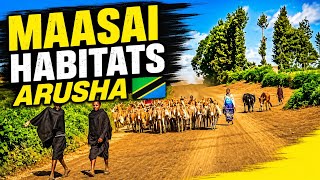 No Talking, Just Reality: Maasai Villages of Arusha
