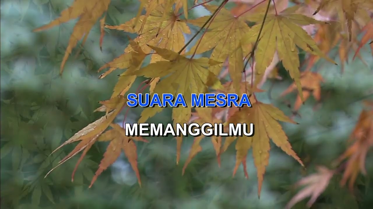 BERCINTA DI UDARA FARID HARDJA Indonesian Malay Karaoke