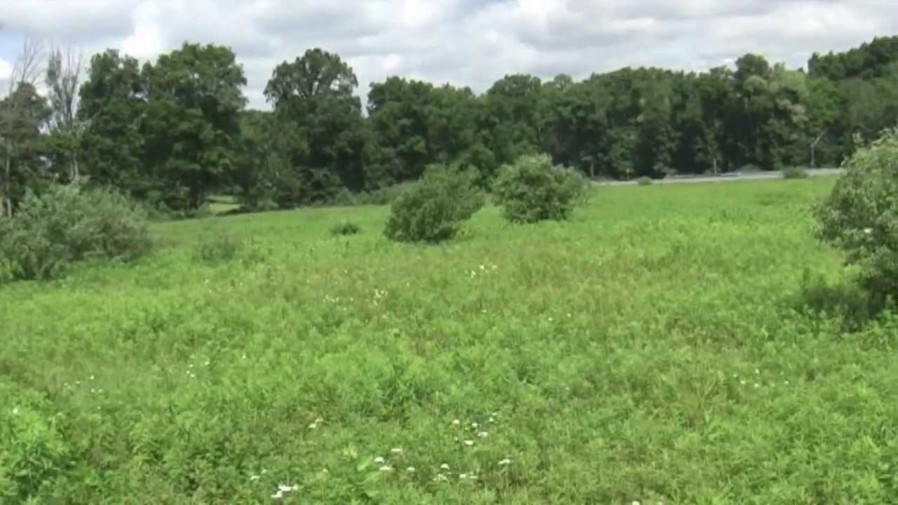 65.04 Acre Open/Wooded Parcel For Sale Near State College, Centre