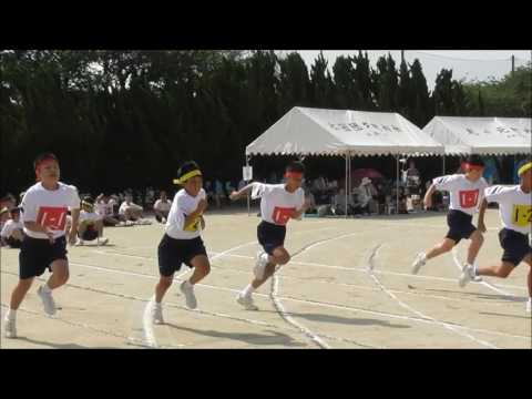 100m走 1,2,3年生 第71回 体育大会2017