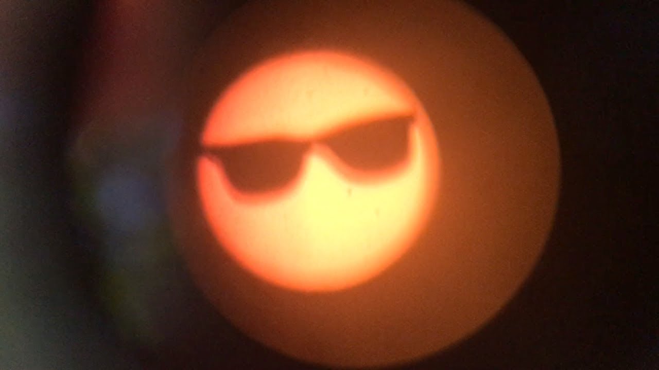 Evolution SUN Polarized Sunglasses