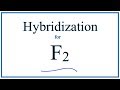 Fluorine Hybridization and Bonding Concepts