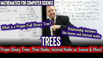 Proper Binary Trees, Their Nodes, Internal Nodes Versus Leaves & More! (Maths for Computer Science)