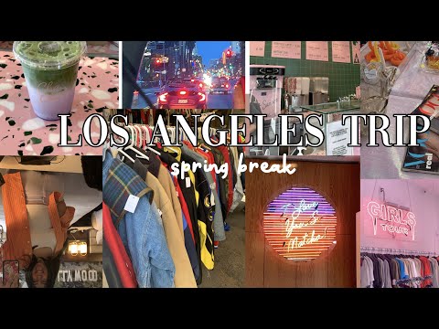 Los Angeles Trip Vlog | Melrose Trading Post, The Grove, Shopping