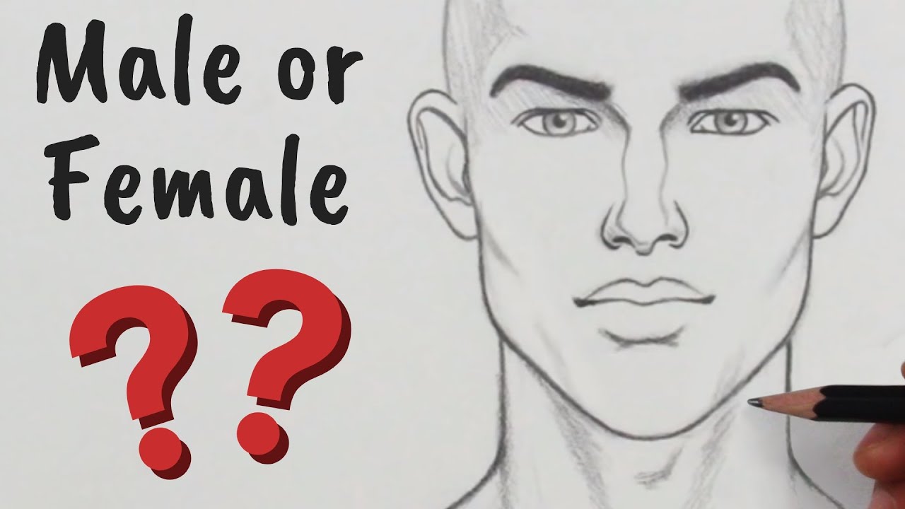 How to Draw a Face – Male