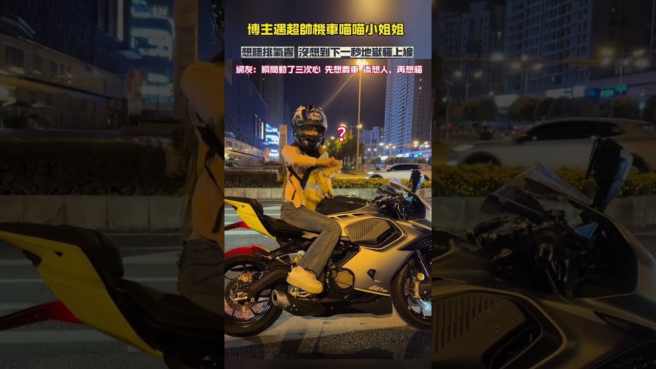 博主遇超帥機車喵喵小姐姐 想聽排氣響 沒想到下一秒地獄貓上線 網友：一瞬間動了三次心，先想要車，後想人，再想要貓