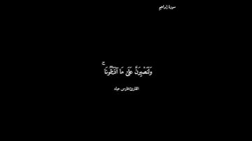 سورة إبراهيم/ فارس عباد