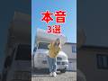 実際にあったヒヤッとした怖い思い😱キャンピングカー乗りが本音でお話します😨 #車中泊 #キャンピングカー #夫婦