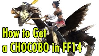 Famous How to get a Chocobo in FF14 - xBeauGaming Wealth