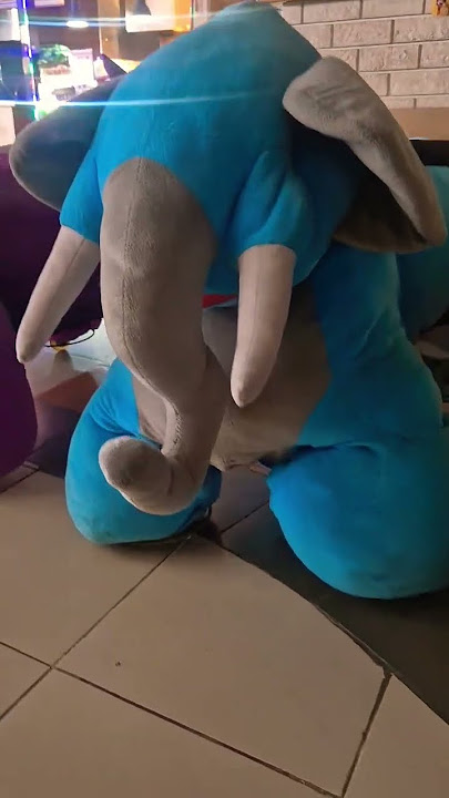 elephant without eyes #videoshort
