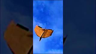 #cardboard #diy #airplane #aviation #testflight