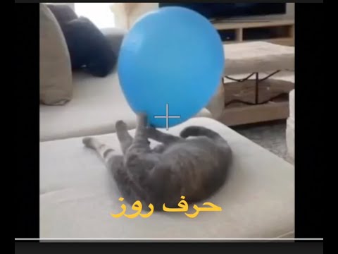 حرف هر روز