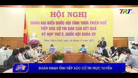 Đoàn ĐBQH tỉnh tiếp xúc cử tri trực tuyến